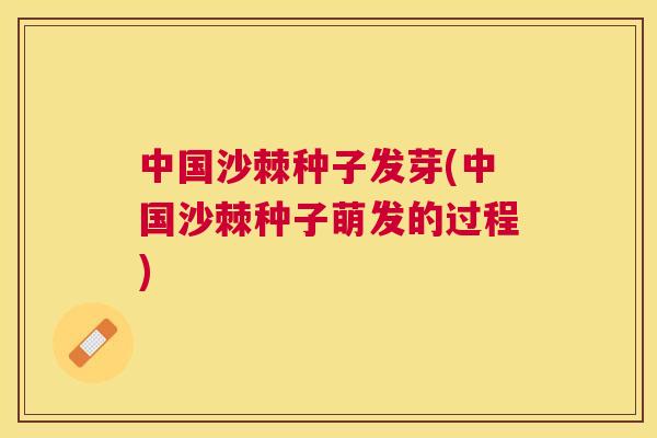 中国沙棘种子发芽(中国沙棘种子萌发的过程)