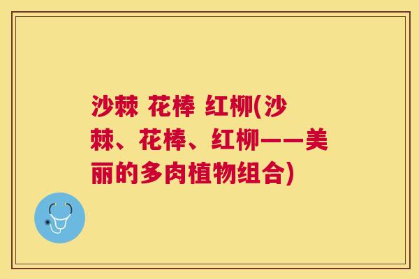 沙棘 花棒 红柳(沙棘、花棒、红柳——美丽的多肉植物组合)