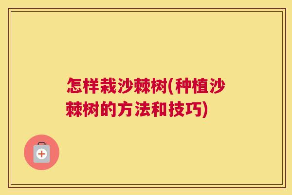 怎样栽沙棘树(种植沙棘树的方法和技巧)