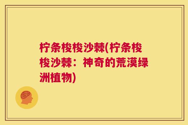 柠条梭梭沙棘(柠条梭梭沙棘：神奇的荒漠绿洲植物)