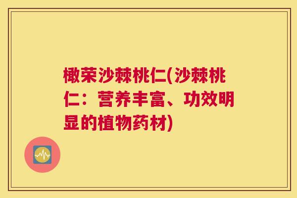 橄荣沙棘桃仁(沙棘桃仁：营养丰富、功效明显的植物药材)