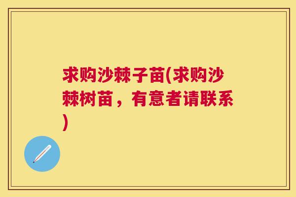 求购沙棘子苗(求购沙棘树苗,有意者请联系)