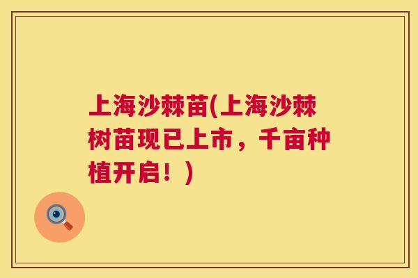上海沙棘苗(上海沙棘树苗现已上市,千亩种植开启!) 上海沙棘苗(上海沙棘树苗现已上市,千亩种植开启!)
