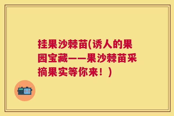 挂果沙棘苗(诱人的果园宝藏——果沙棘苗采摘果实等你来！)
