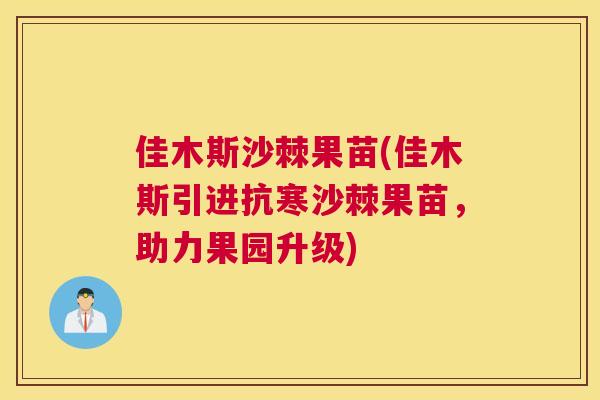 佳木斯沙棘果苗(佳木斯引进抗寒沙棘果苗,助力果园升级)