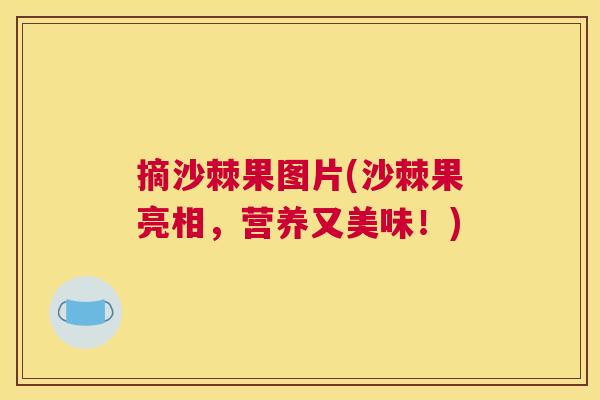 摘沙棘果图片(沙棘果亮相，营养又美味！)