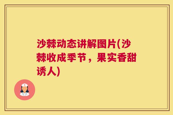 沙棘动态讲解图片(沙棘收成季节，果实香甜诱人)