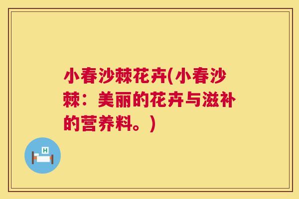 小春沙棘花卉(小春沙棘：美丽的花卉与滋补的营养料。)