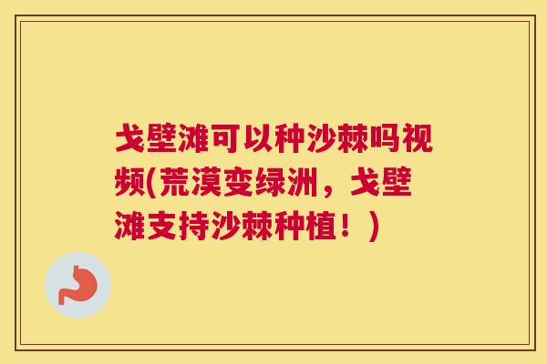戈壁滩可以种沙棘吗视频(荒漠变绿洲，戈壁滩支持沙棘种植！)