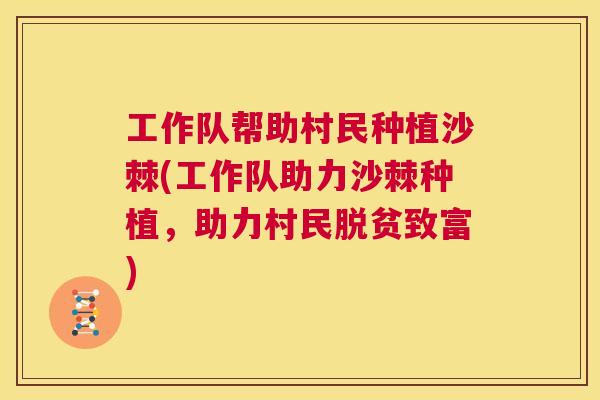 工作队帮助村民种植沙棘(工作队助力沙棘种植，助力村民脱贫致富)