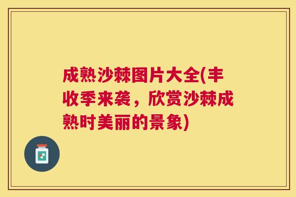 成熟沙棘图片大全(丰收季来袭,欣赏沙棘成熟时美丽的景象)