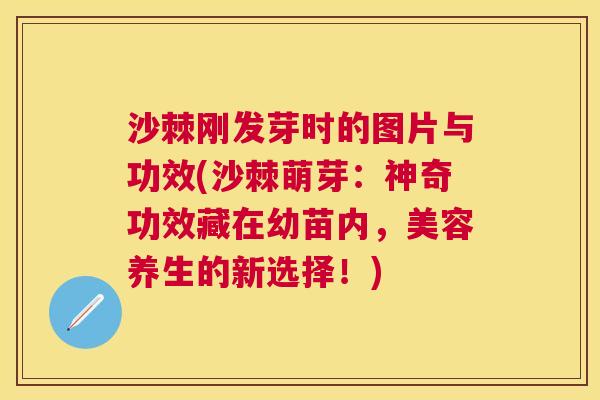 沙棘刚发芽时的图片与功效(沙棘萌芽：神奇功效藏在幼苗内，美容养生的新选择！)