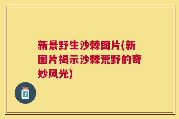 新景野生沙棘图片(新图片揭示沙棘荒野的奇妙风光)