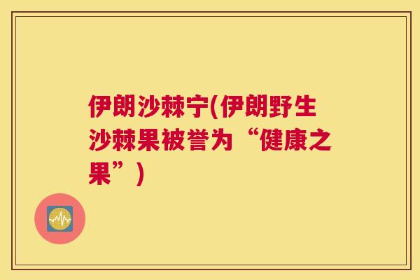 伊朗沙棘宁(伊朗野生沙棘果被誉为“健康之果”)
