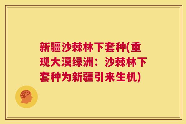 新疆沙棘林下套种(重现大漠绿洲：沙棘林下套种为新疆引来生机)