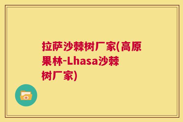 拉萨沙棘树厂家(高原果林-Lhasa沙棘树厂家)