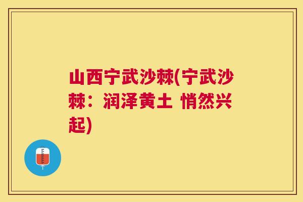 山西宁武沙棘(宁武沙棘：润泽黄土 悄然兴起)