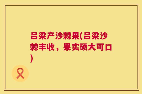 吕梁产沙棘果(吕梁沙棘丰收，果实硕大可口)