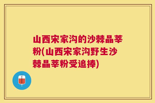 山西宋家沟的沙棘晶莘粉(山西宋家沟野生沙棘晶莘粉受追捧)