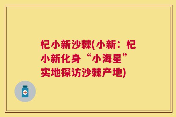 杞小新沙棘(小新：杞小新化身“小海星” 实地探访沙棘产地)