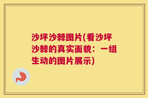 沙坪沙棘图片(看沙坪沙棘的真实面貌：一组生动的图片展示)