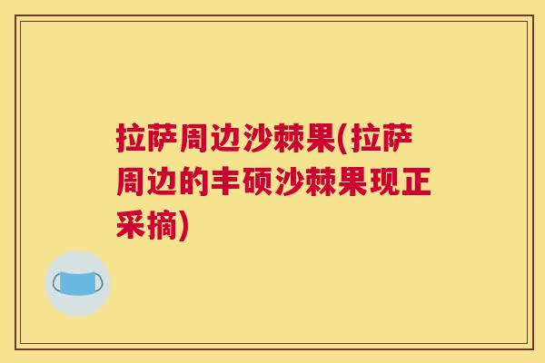 拉萨周边沙棘果(拉萨周边的丰硕沙棘果现正采摘)
