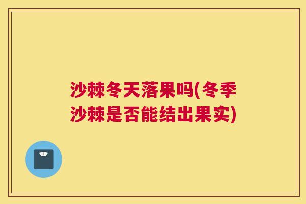 沙棘冬天落果吗(冬季沙棘是否能结出果实)