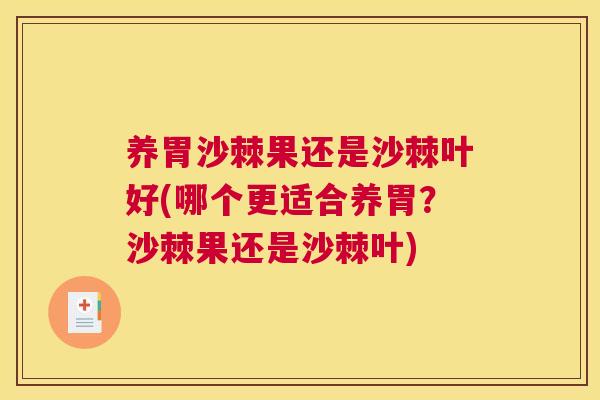 养胃沙棘果还是沙棘叶好(哪个更适合养胃？沙棘果还是沙棘叶)