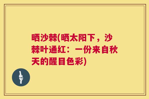 晒沙棘(晒太阳下，沙棘叶通红：一份来自秋天的醒目色彩)