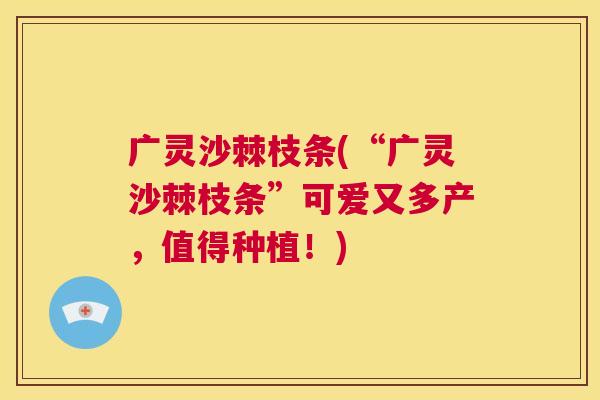 广灵沙棘枝条(“广灵沙棘枝条”可爱又多产，值得种植！)