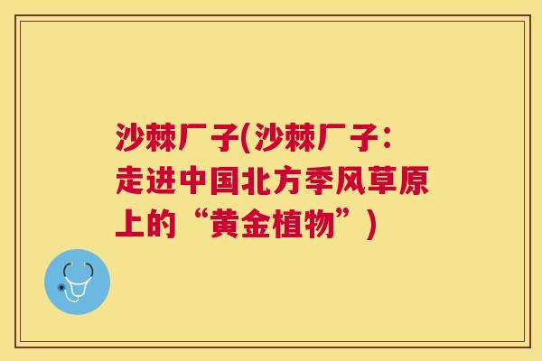 沙棘厂子(沙棘厂子：走进中国北方季风草原上的“黄金植物”)