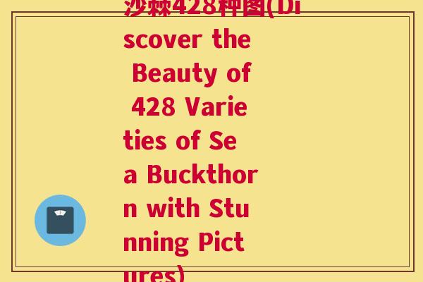 沙棘428种图(Discover the Beauty of 428 Varieties of Sea Buckthorn with Stunning Pictures)