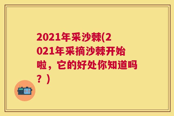 2021年采沙棘(2021年采摘沙棘开始啦，它的好处你知道吗？)