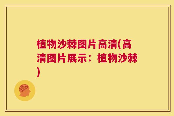 植物沙棘图片高清(高清图片展示：植物沙棘)