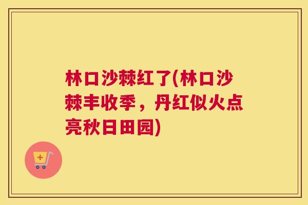 林口沙棘红了(林口沙棘丰收季，丹红似火点亮秋日田园)