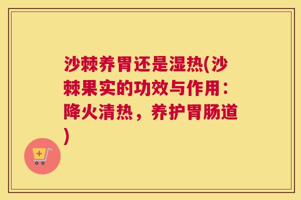 沙棘养胃还是湿热(沙棘果实的功效与作用：降火清热，养护胃肠道)