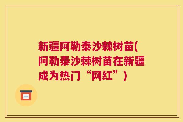 新疆阿勒泰沙棘树苗(阿勒泰沙棘树苗在新疆成为热门“网红”)