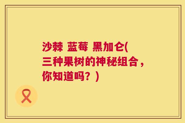 沙棘 蓝莓 黑加仑(三种果树的神秘组合，你知道吗？)