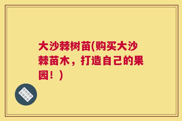 大沙棘树苗(购买大沙棘苗木，打造自己的果园！)