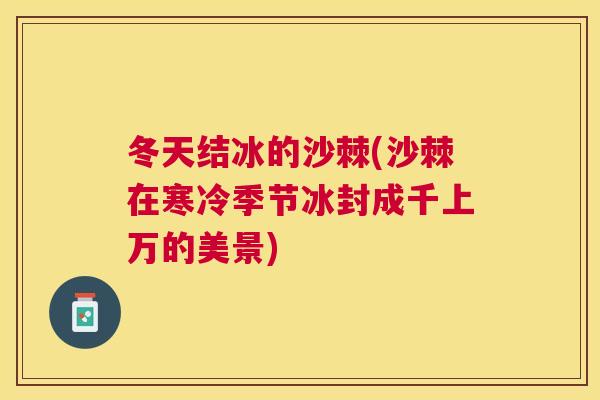 冬天结冰的沙棘(沙棘在寒冷季节冰封成千上万的美景)