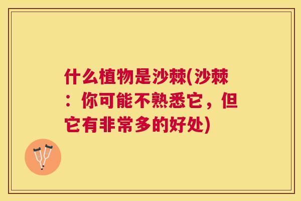 什么植物是沙棘(沙棘：你可能不熟悉它，但它有非常多的好处)