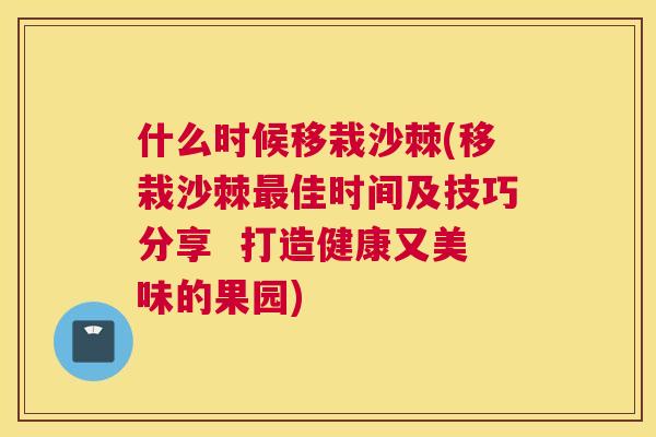 什么时候移栽沙棘(移栽沙棘最佳时间及技巧分享  打造健康又美味的果园)