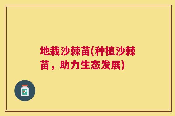 地栽沙棘苗(种植沙棘苗，助力生态发展)