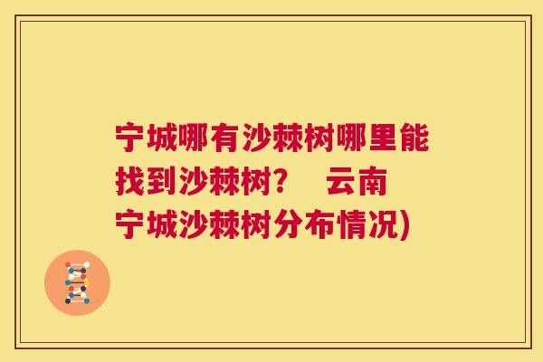 宁城哪有沙棘树哪里能找到沙棘树？  云南宁城沙棘树分布情况)