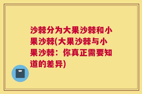 沙棘分为大果沙棘和小果沙棘(大果沙棘与小果沙棘：你真正需要知道的差异)