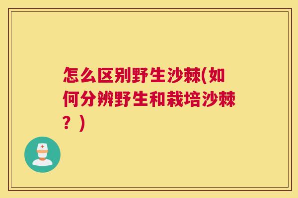 怎么区别野生沙棘(如何分辨野生和栽培沙棘？)