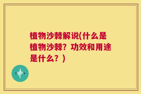 植物沙棘解说(什么是植物沙棘？功效和用途是什么？)