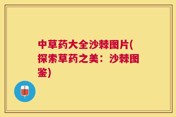 中草药大全沙棘图片(探索草药之美：沙棘图鉴)