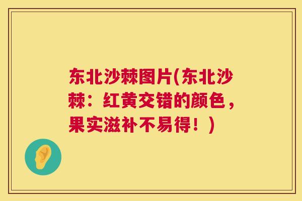东北沙棘图片(东北沙棘：红黄交错的颜色，果实滋补不易得！)