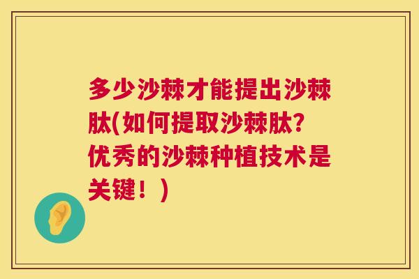多少沙棘才能提出沙棘肽(如何提取沙棘肽？优秀的沙棘种植技术是关键！)